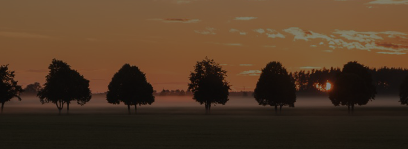 encontre aqui imagem