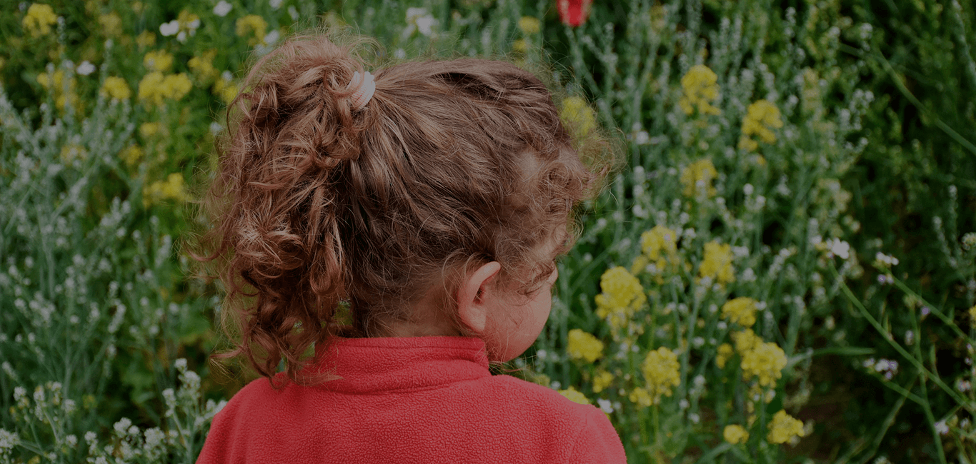 Cursos e Palestras Ambientais Slide Nove