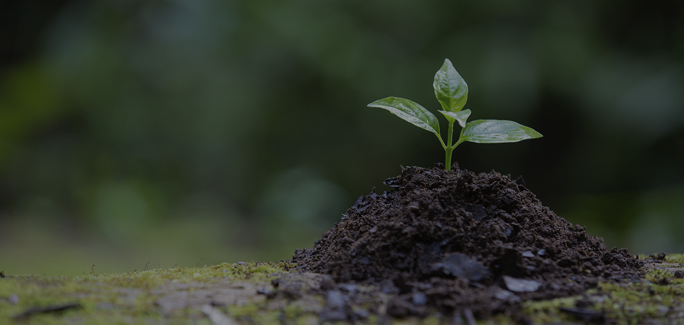 Licenciamento Ambiental Slide Um